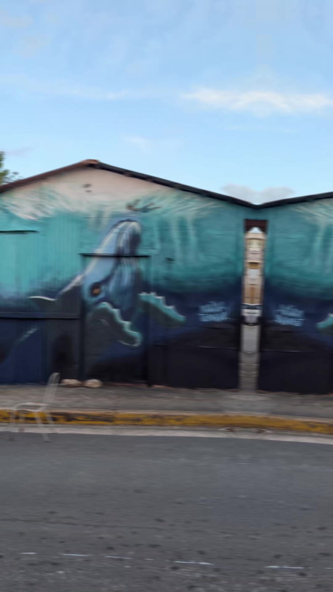 @elpezoreuno