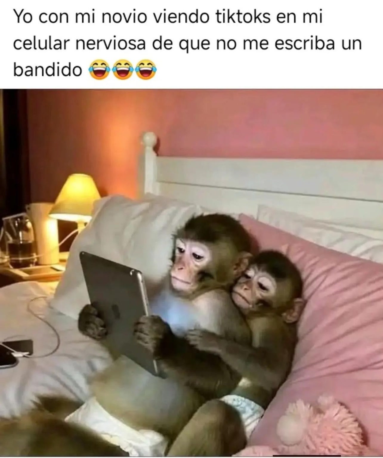 @𝓕𝓮𝓵𝓲𝓬𝓱𝓸 :p