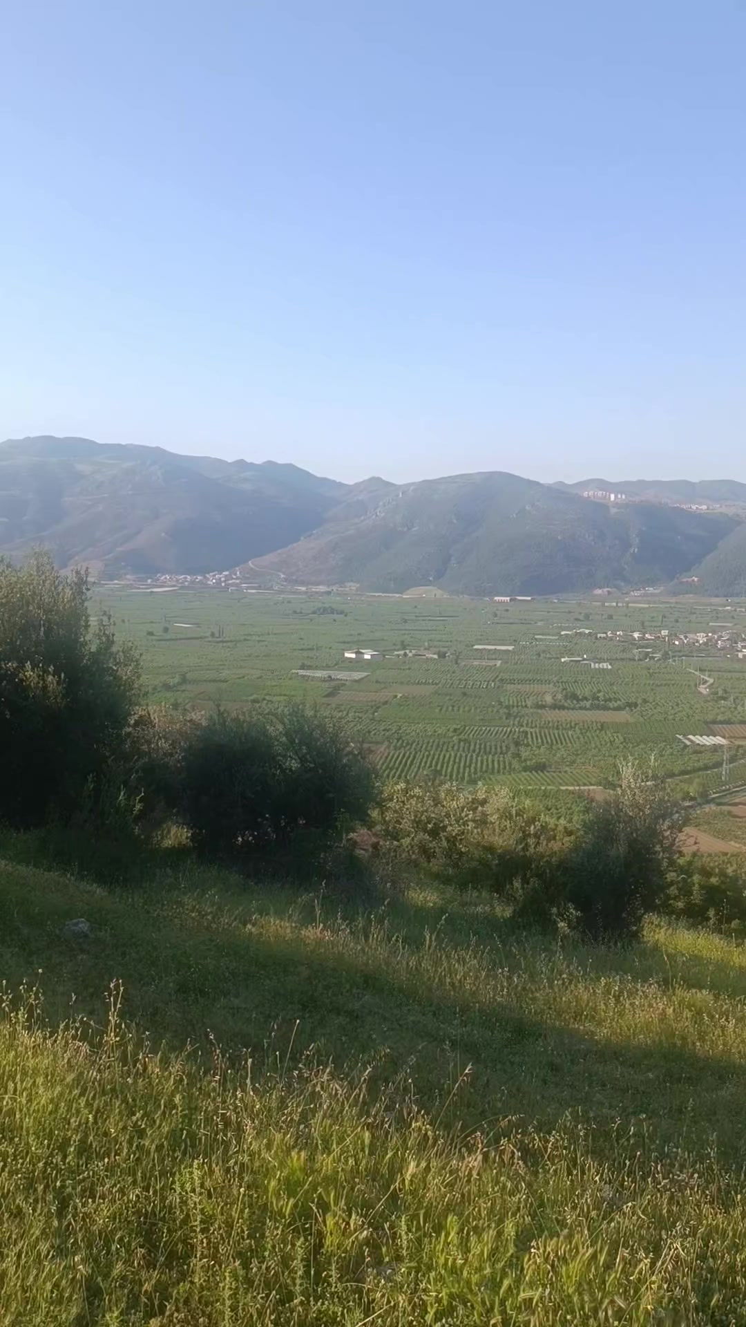 @Sarı