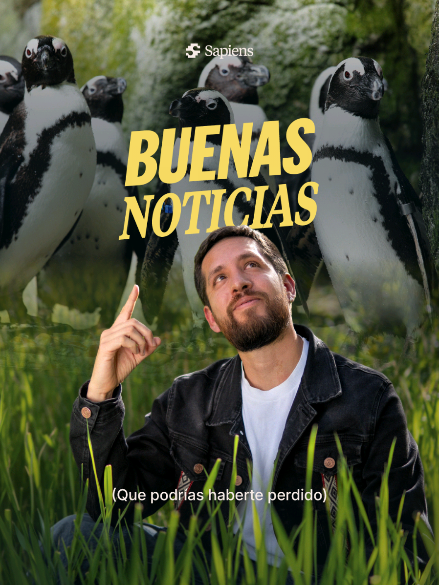 @Sapiens