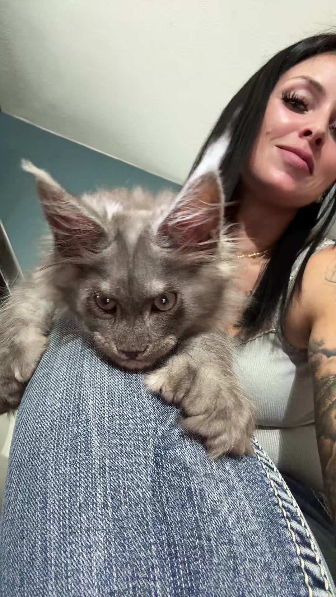 @To0thlessQueen💋