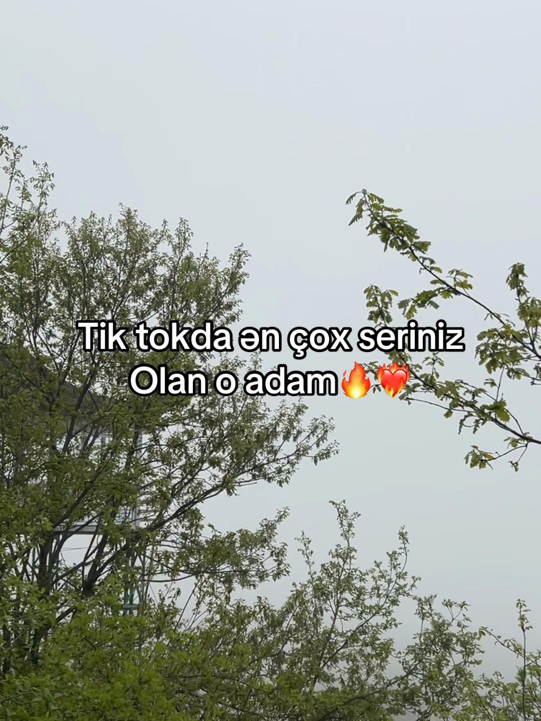 @Anar
