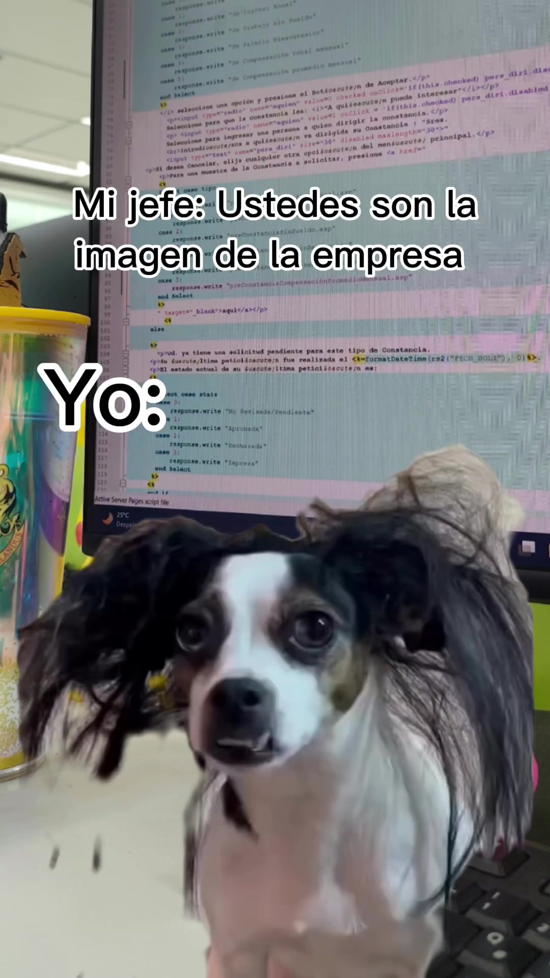 @Daniela White