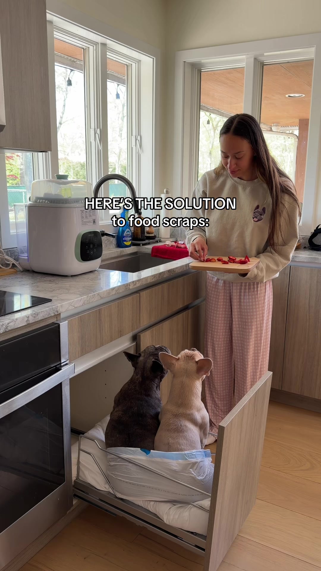 @Winston & Charlie 🐾
