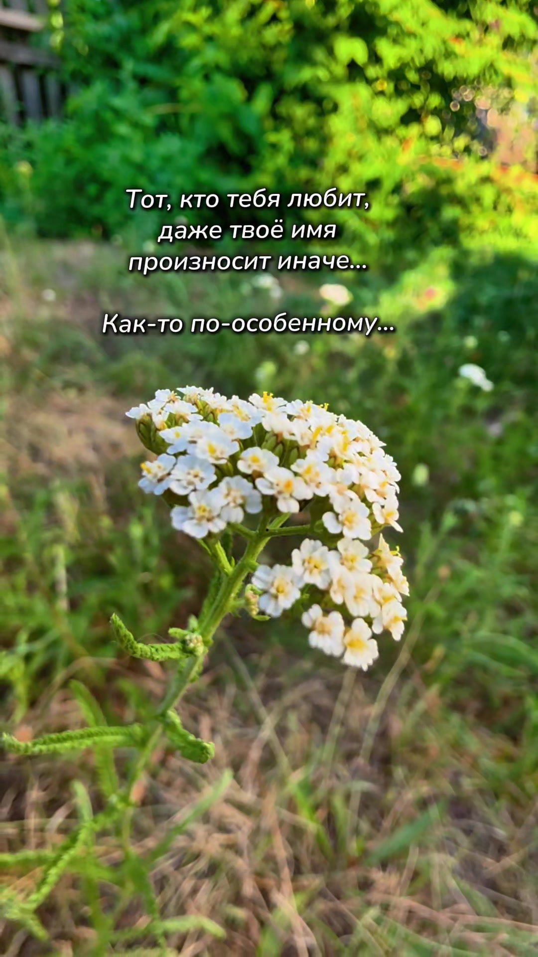 @Nata Liya