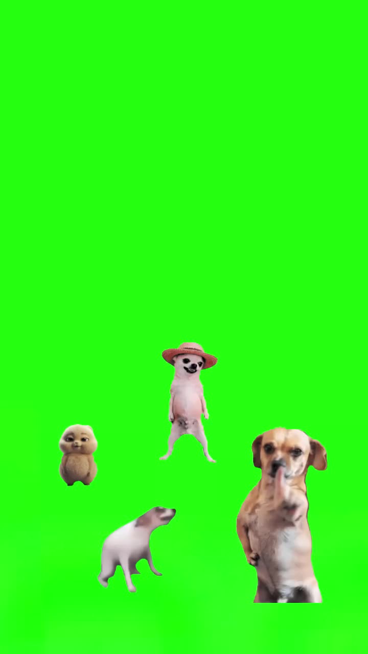 @Plantilla verde (memes)