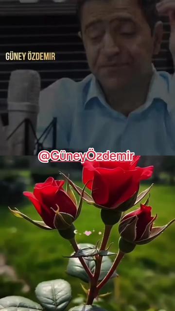 @VANLI ___ACAR@DEKOR