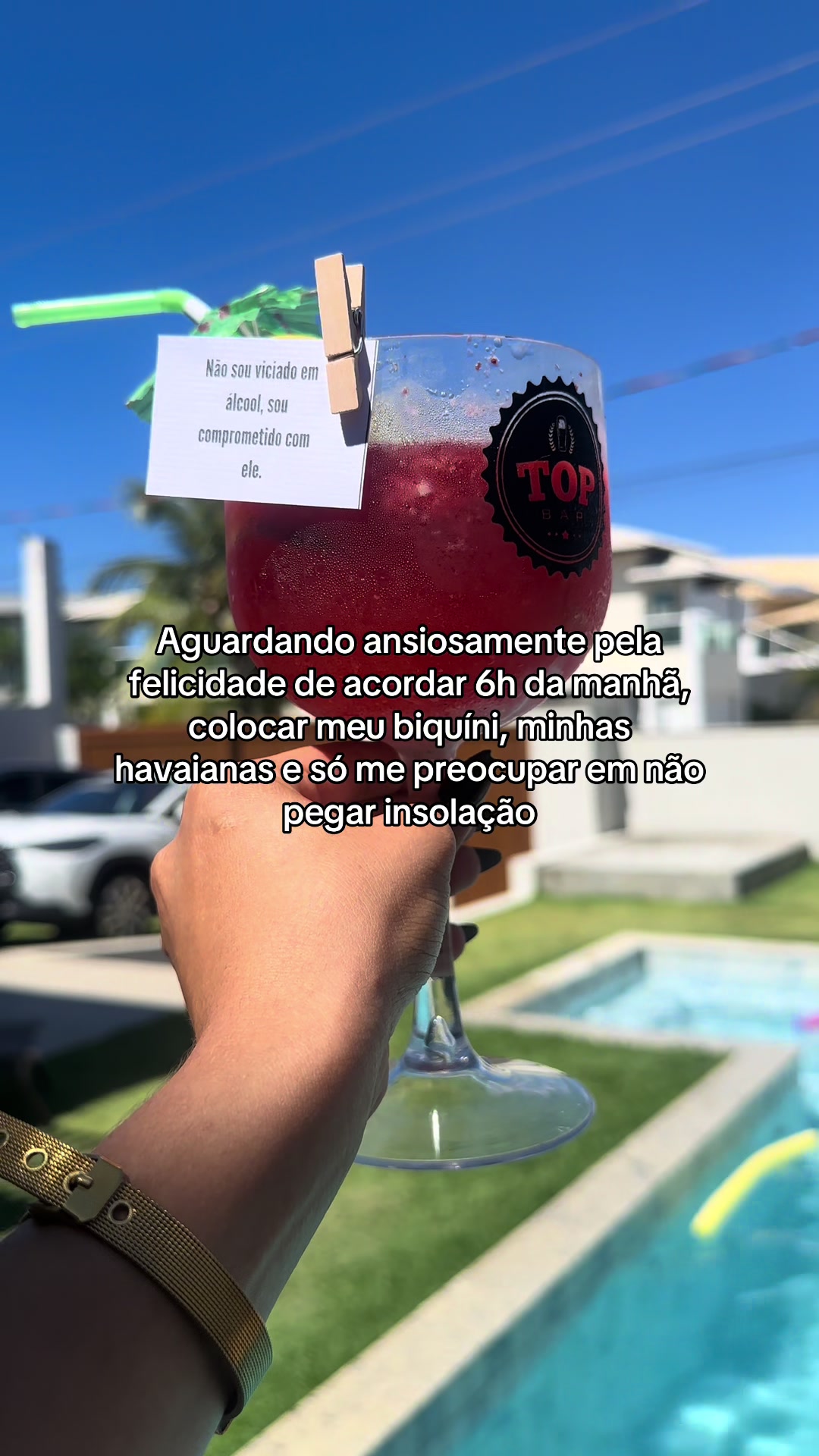 @Vanessa Matos