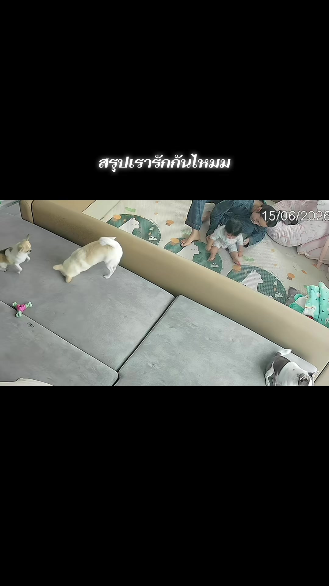 @ต๊อกแต๊ก (1.6M)