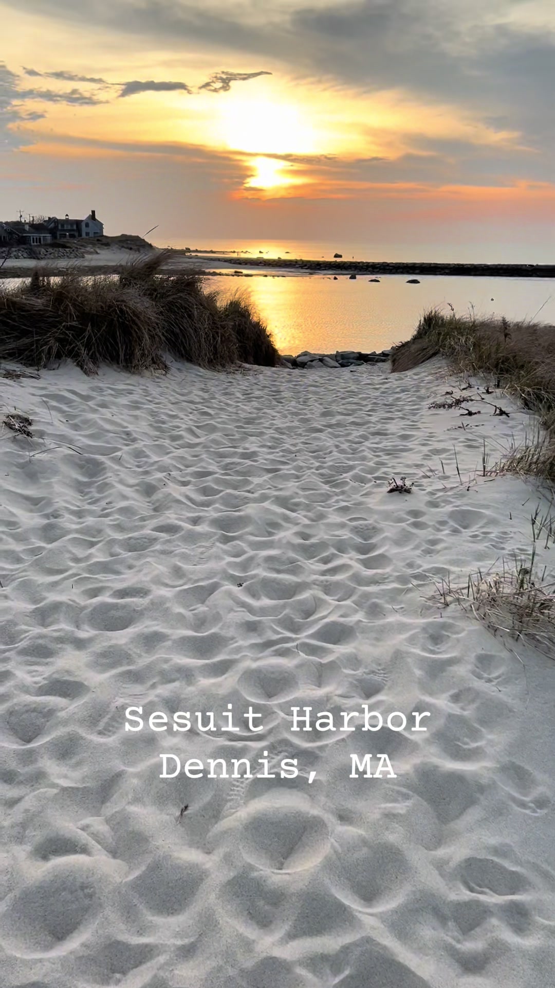 @CapeCodBeachLife
