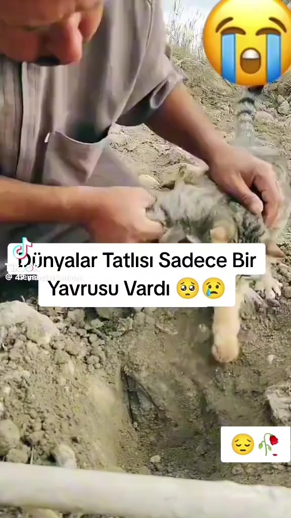 @Fahri Kolcular