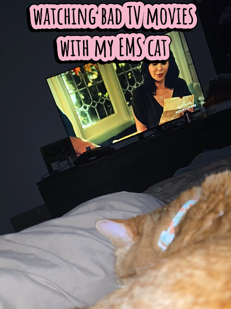 @perpetuallyangrycactai