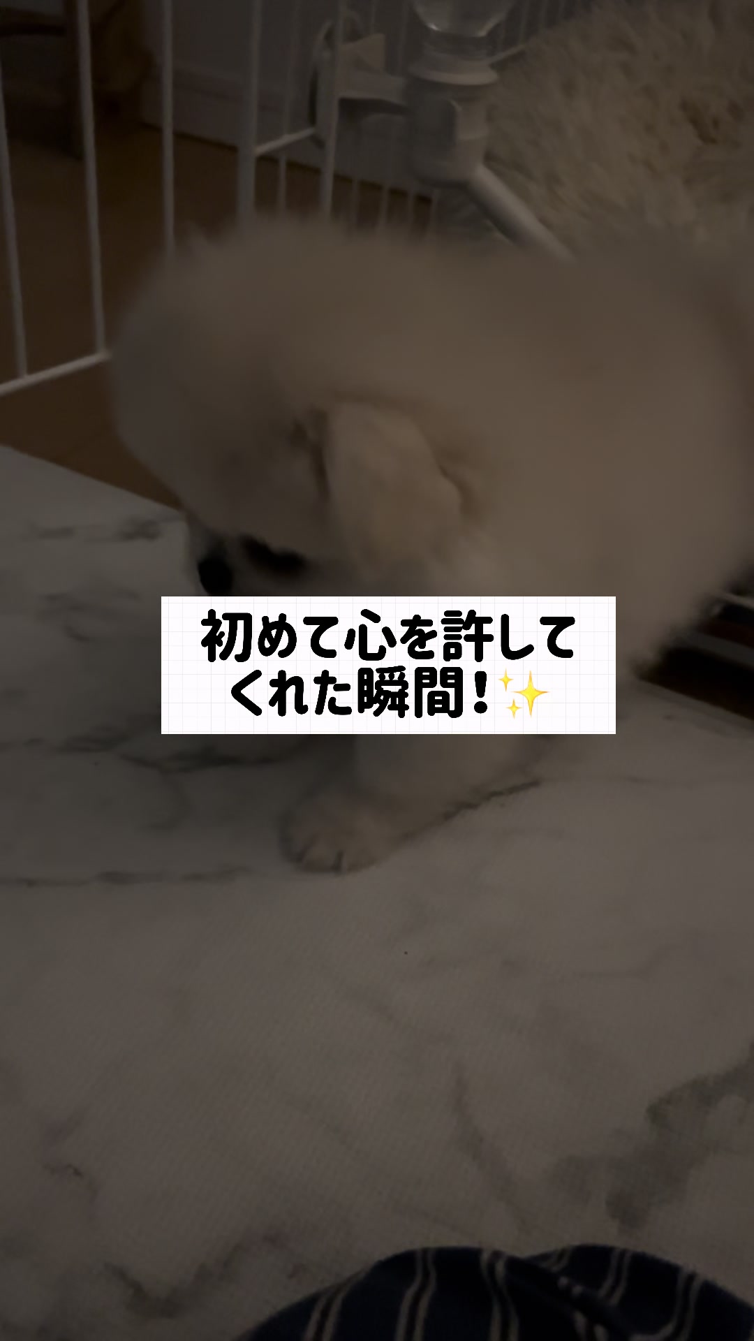@なんこつ