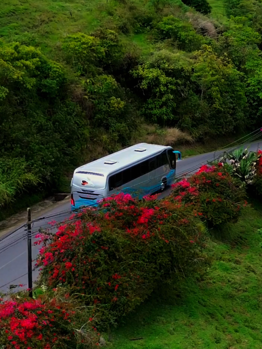 @BUSES PZ | BPZ