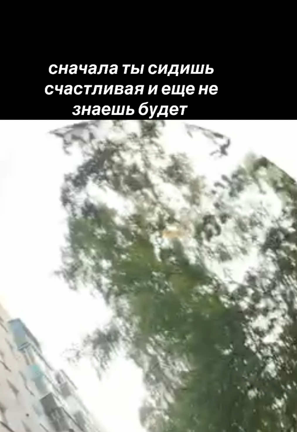 @darinxsgo