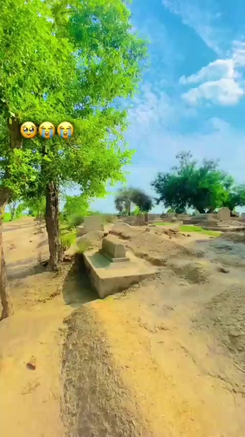 @zohaib rajpoot 770