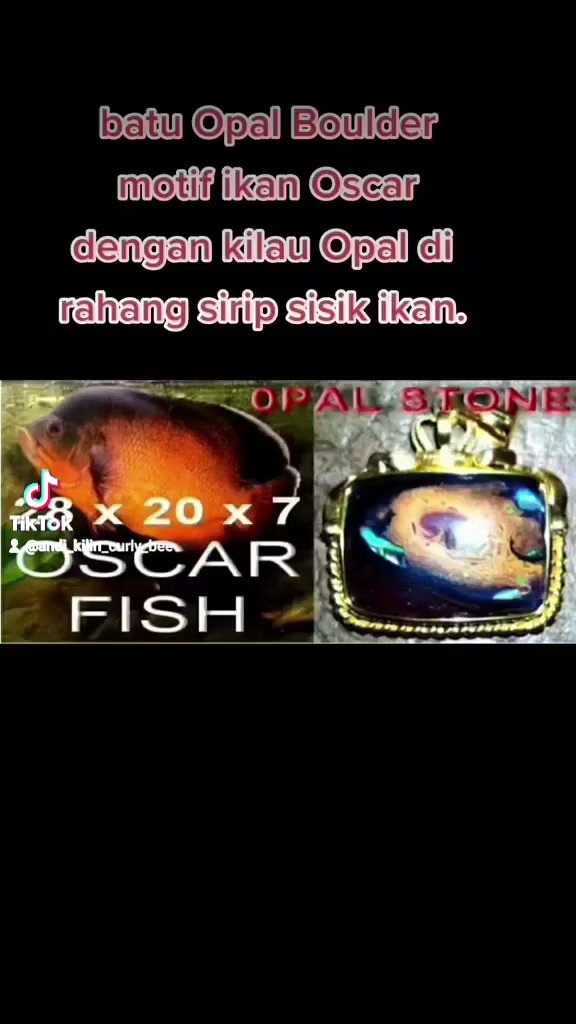 @Andy Qilin
