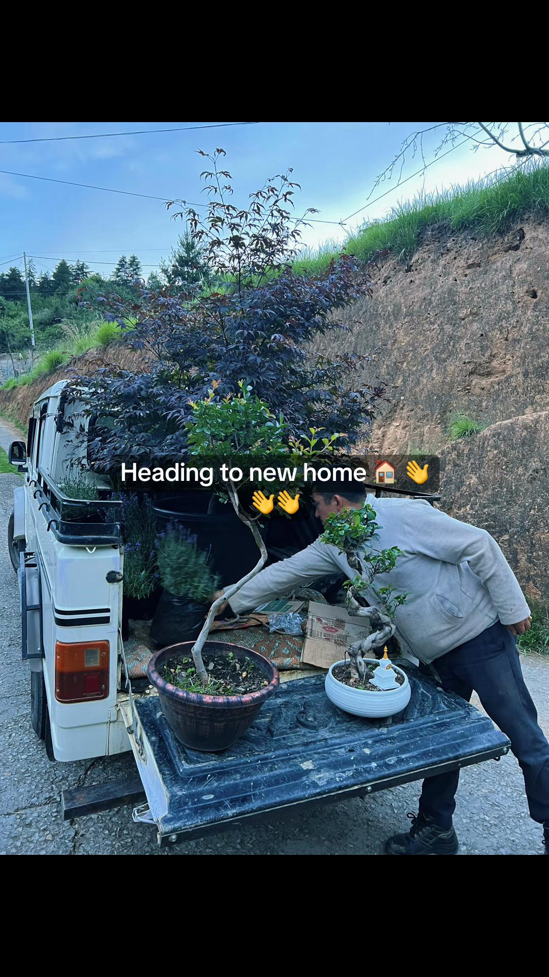 @Green Tara nursery(Nurseryman)