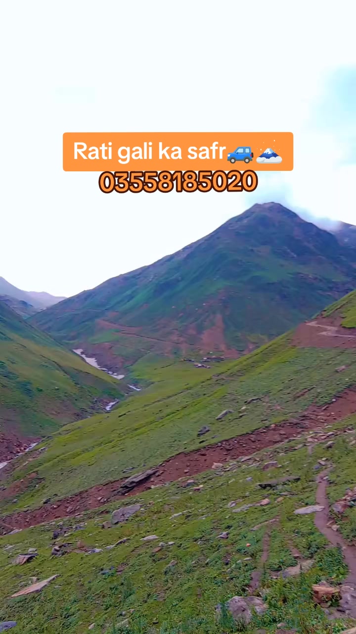 @sajid 786