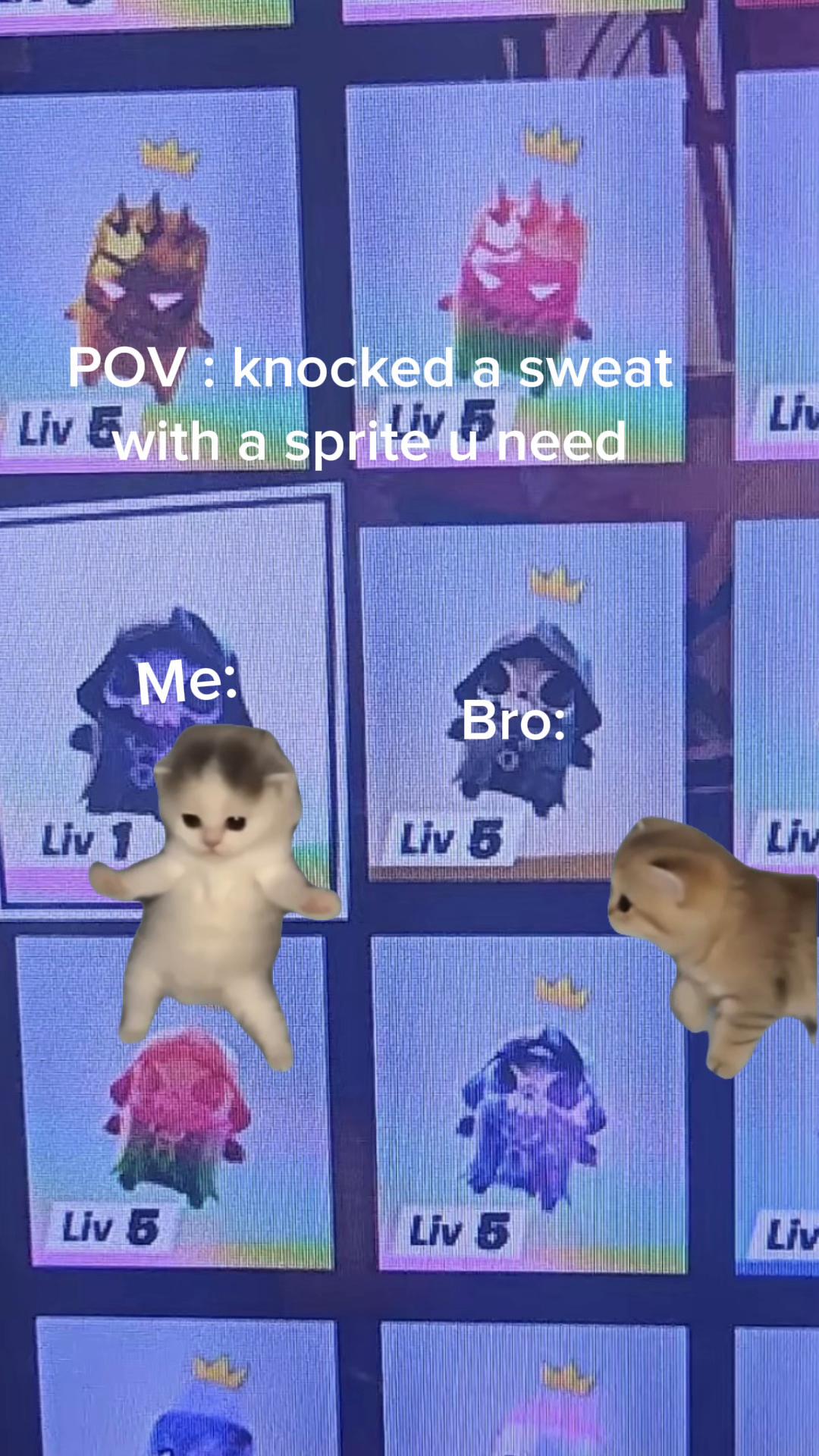 @๐๐๐ธ๏ธ