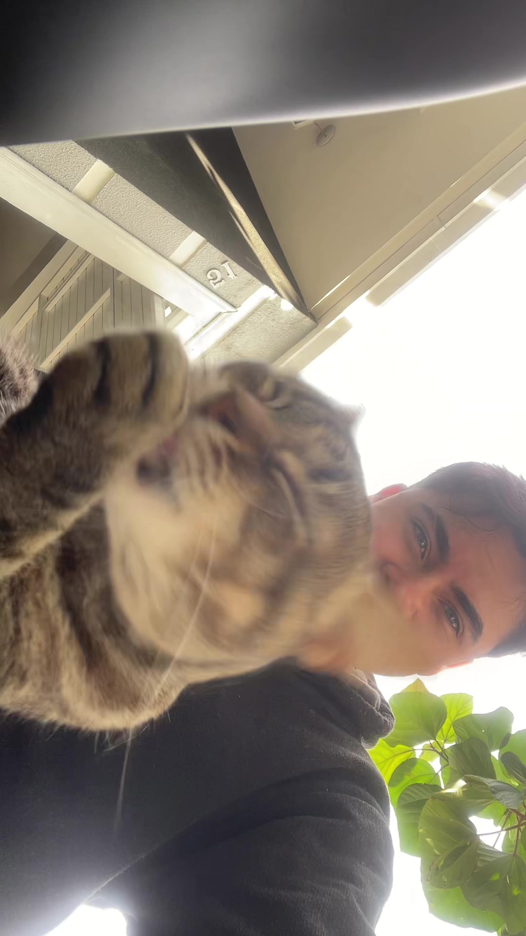@Cebolinha