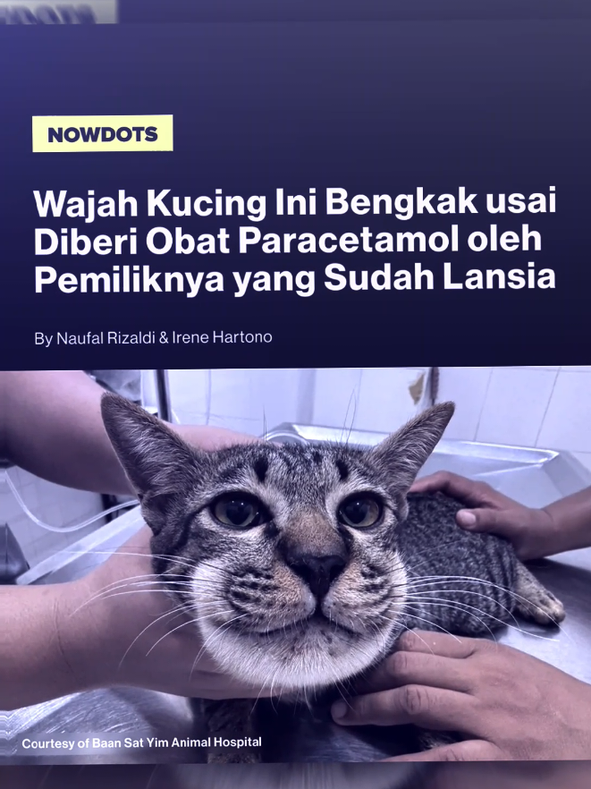 @bahas biar tau🧠