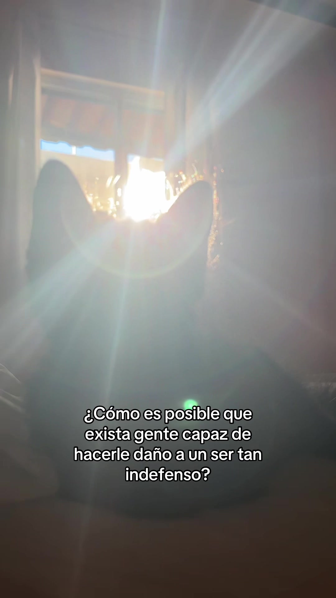 @Maldparra🌹