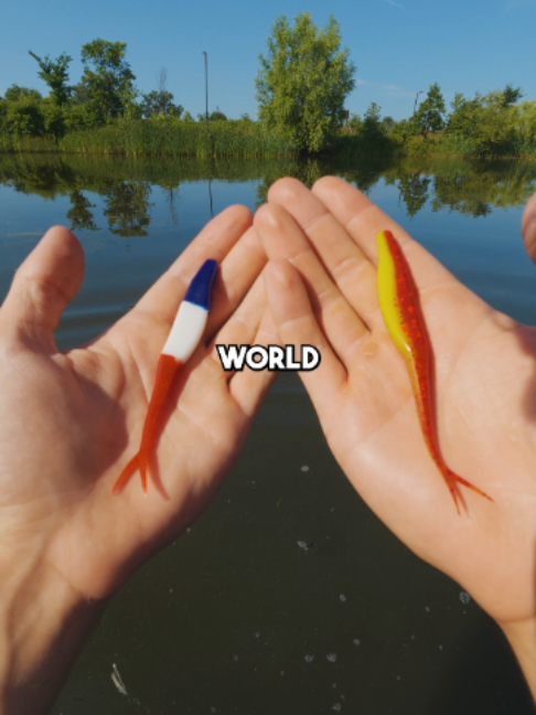@Stef Fish