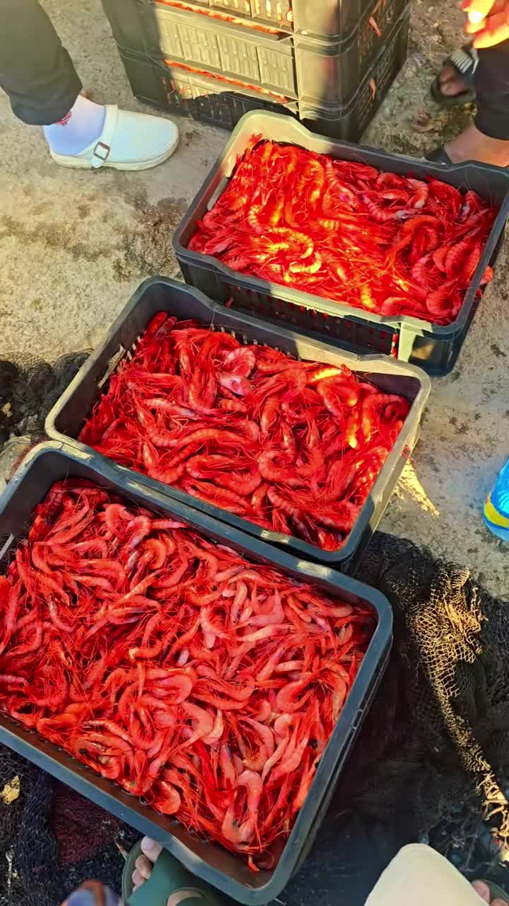 @Fouad p&ecirc;cheur