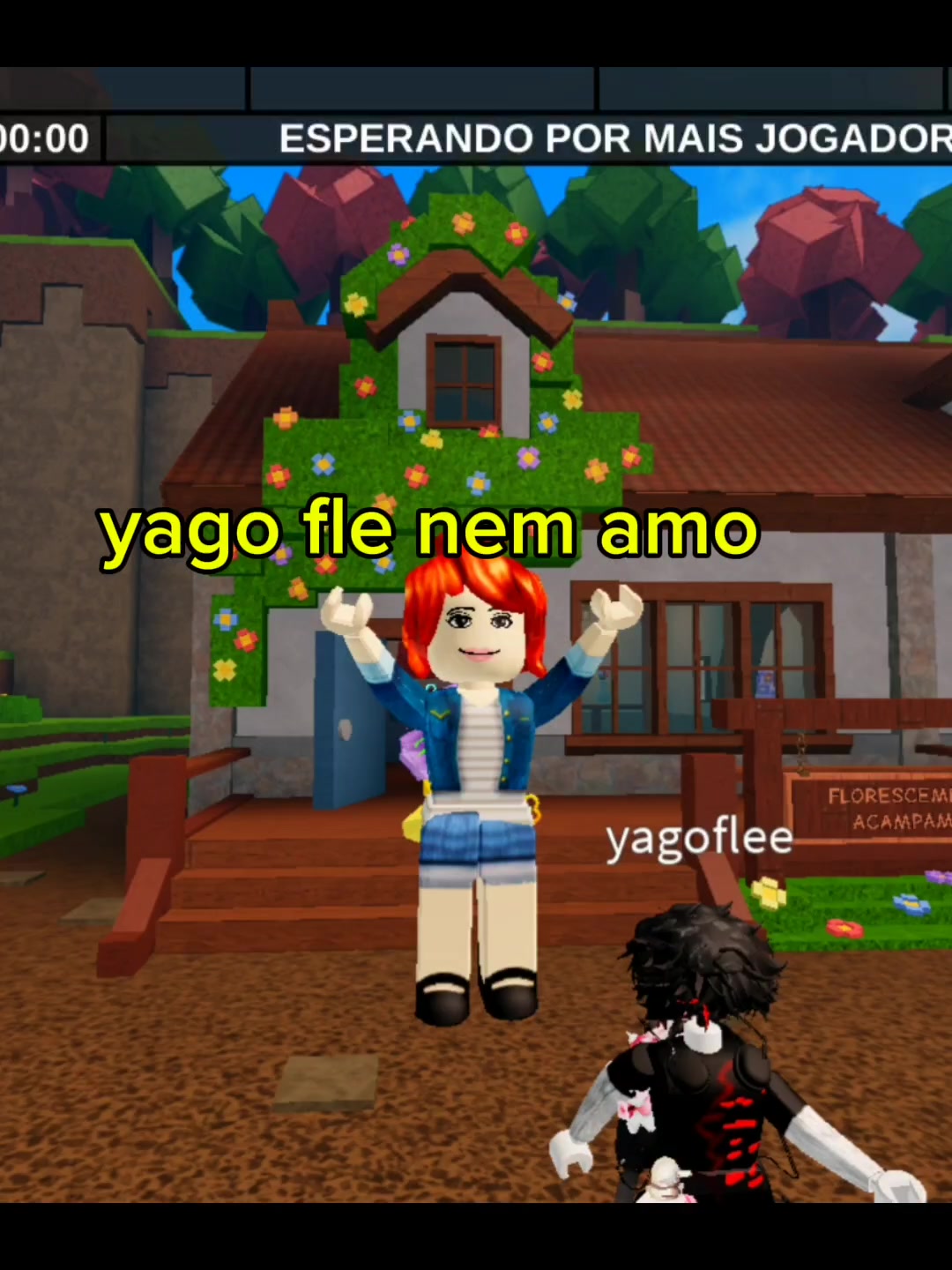 @nobzinha_doroblox