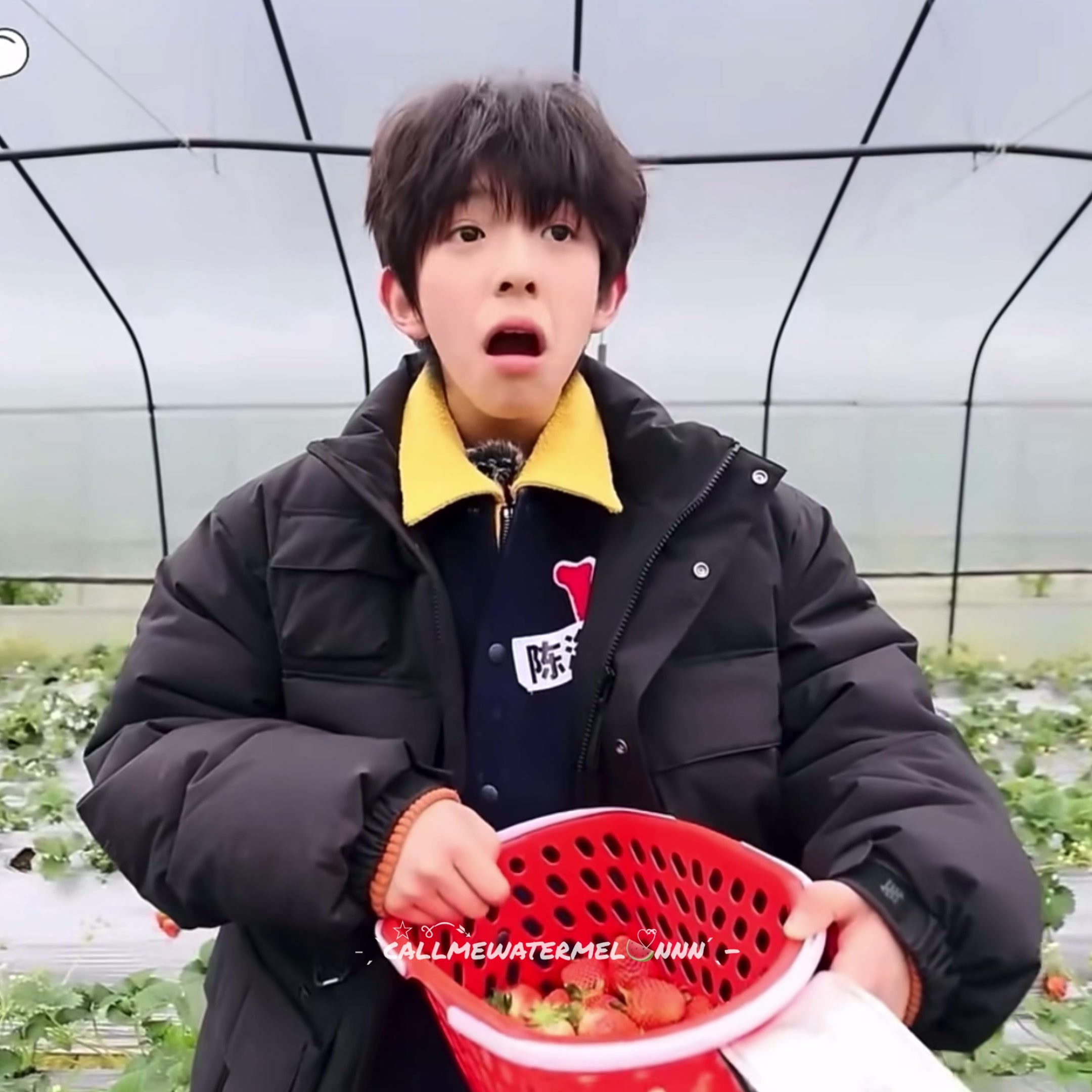 @西瓜 🍉