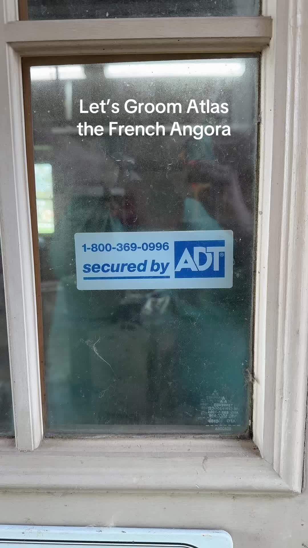 @Angel