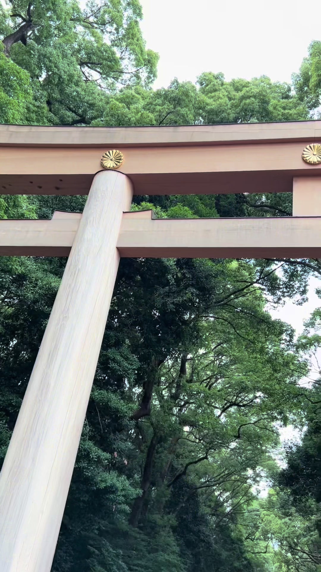 @リアル検証ラボ