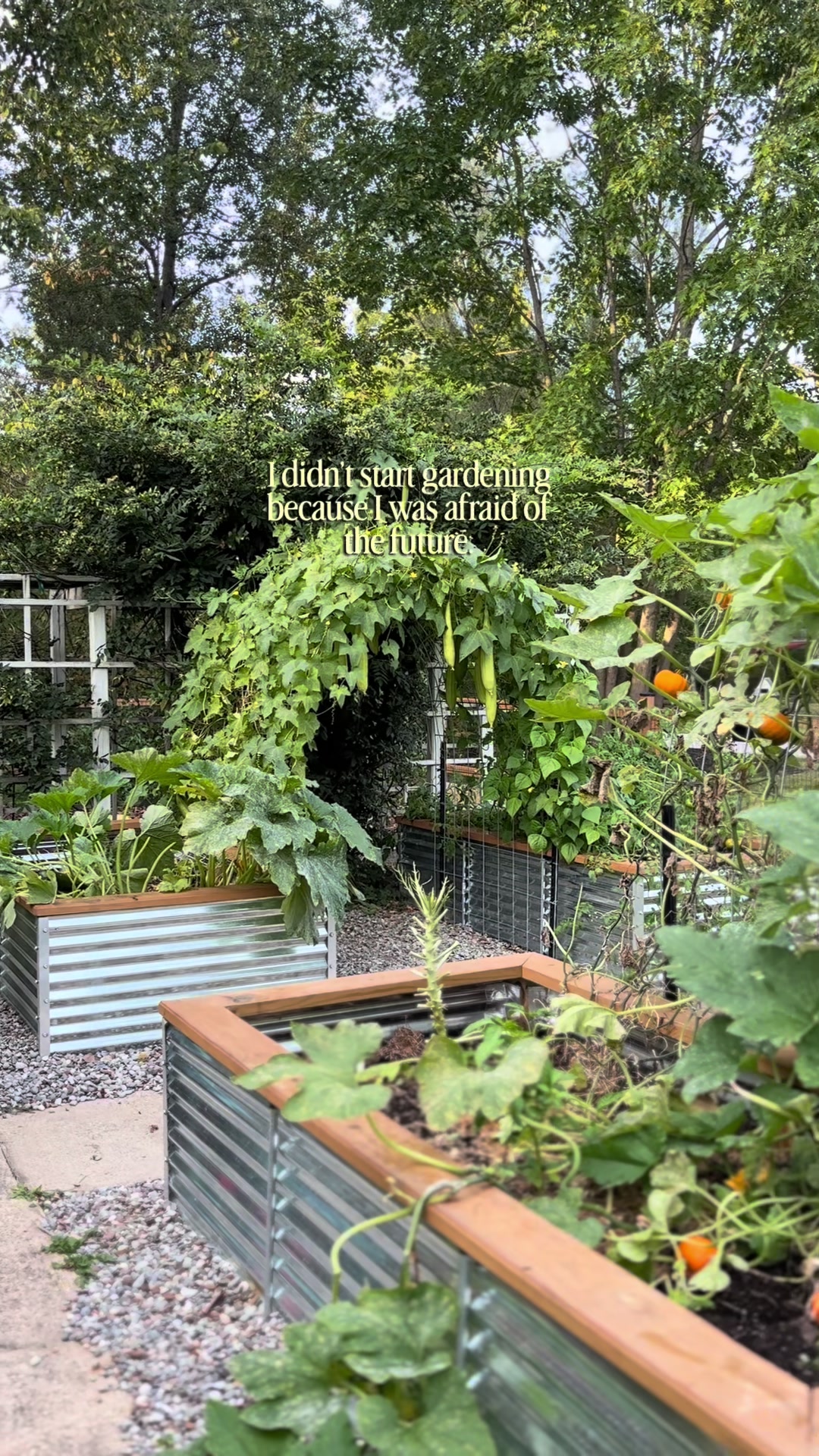 @Carli | Peace of Mind Garden