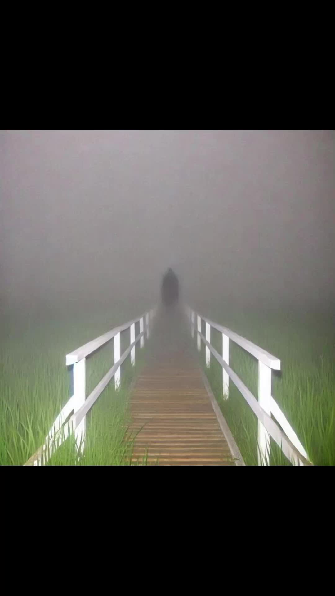 @(。>‿‿<。)
