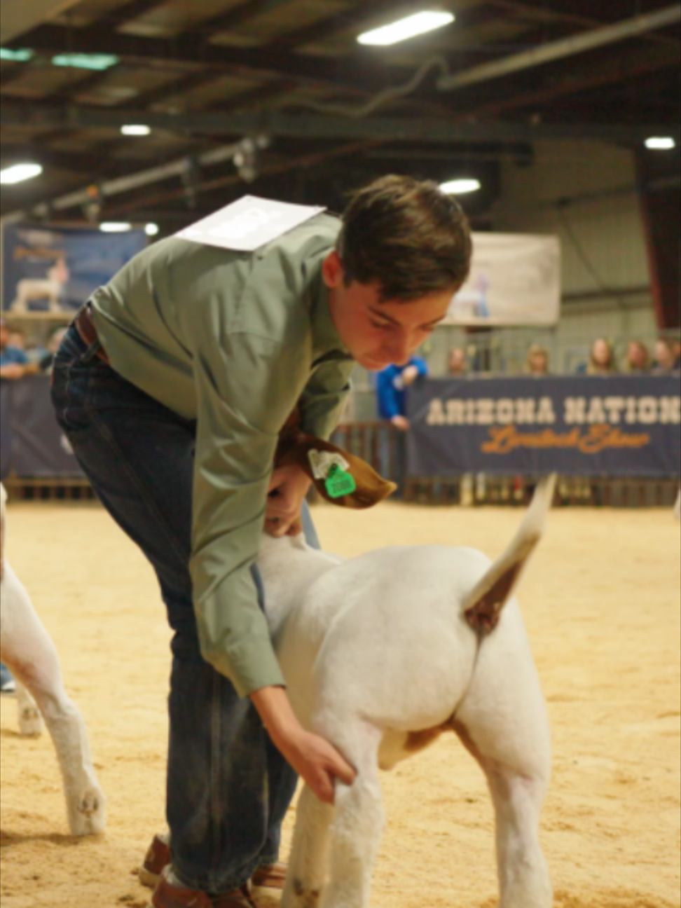 @AZ National Livestock Show