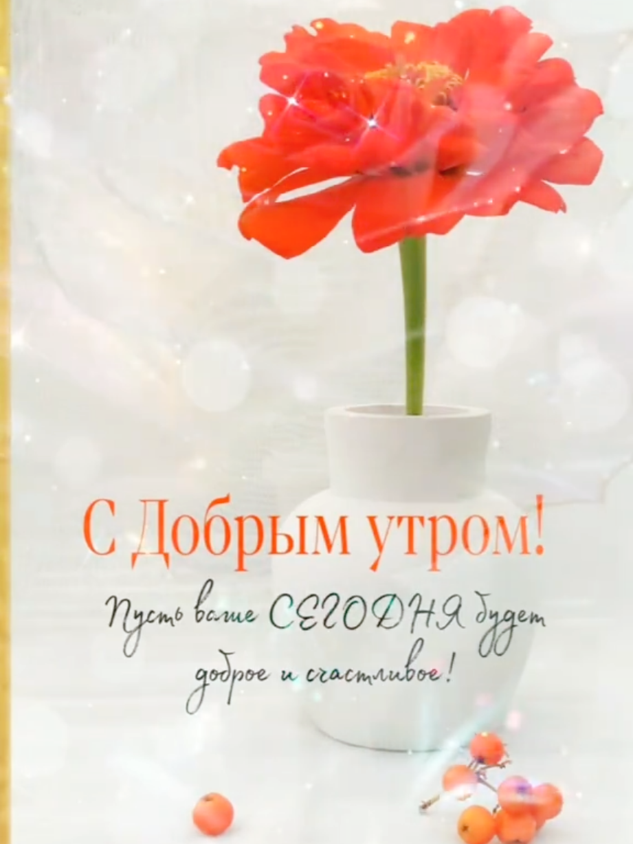 @🌸CvetocheK🌸