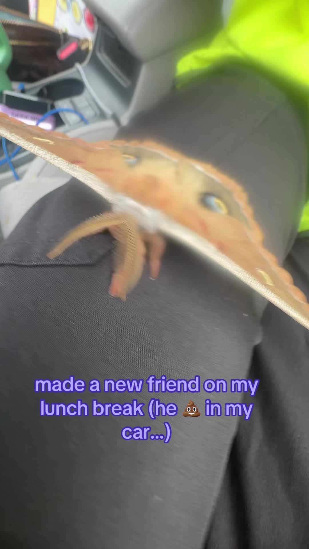 @smelly