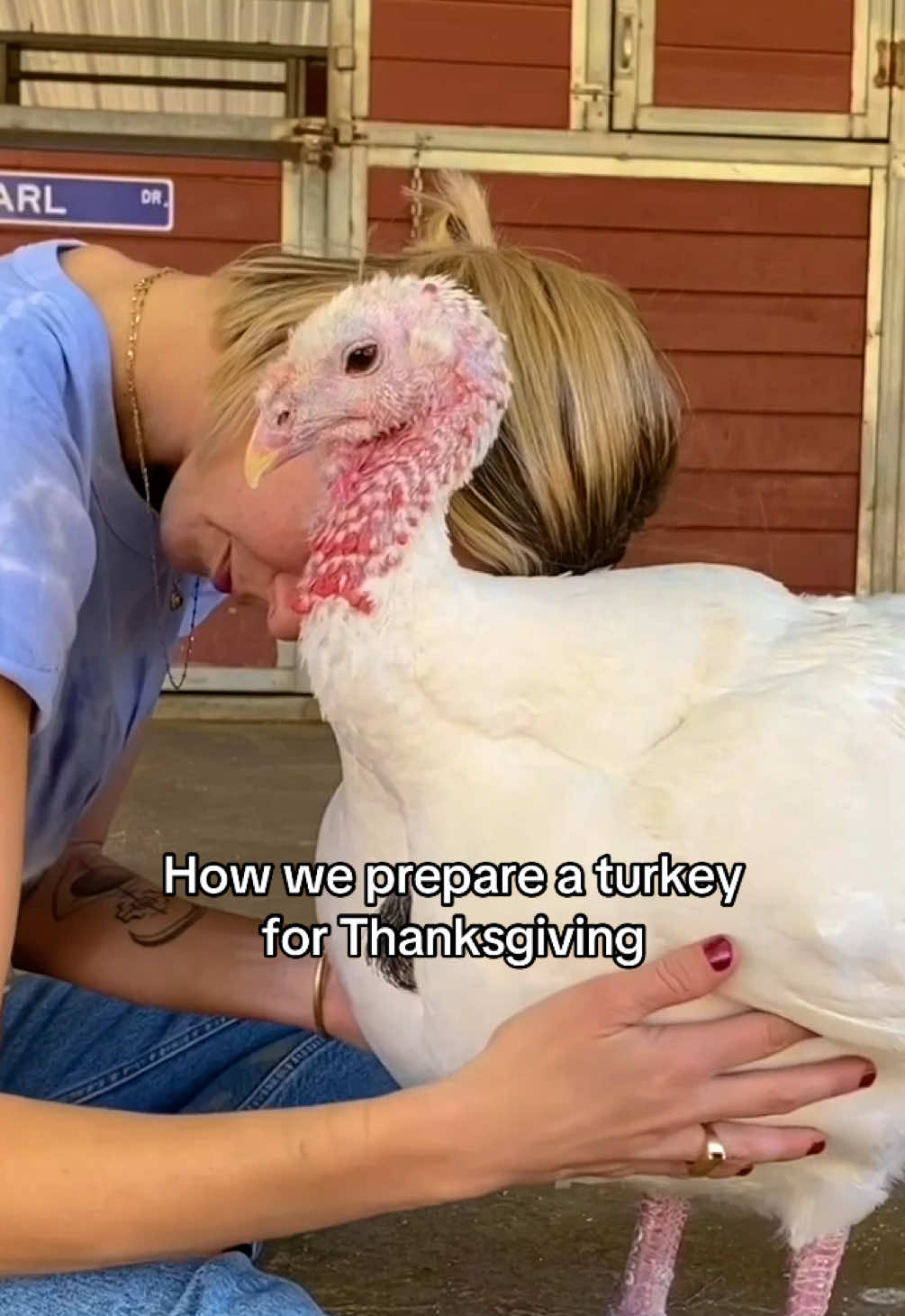 @The Gentle Barn | Sanctuary