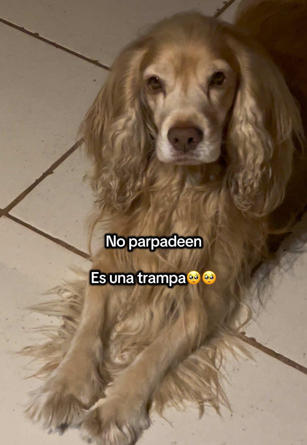 @Mar💕
