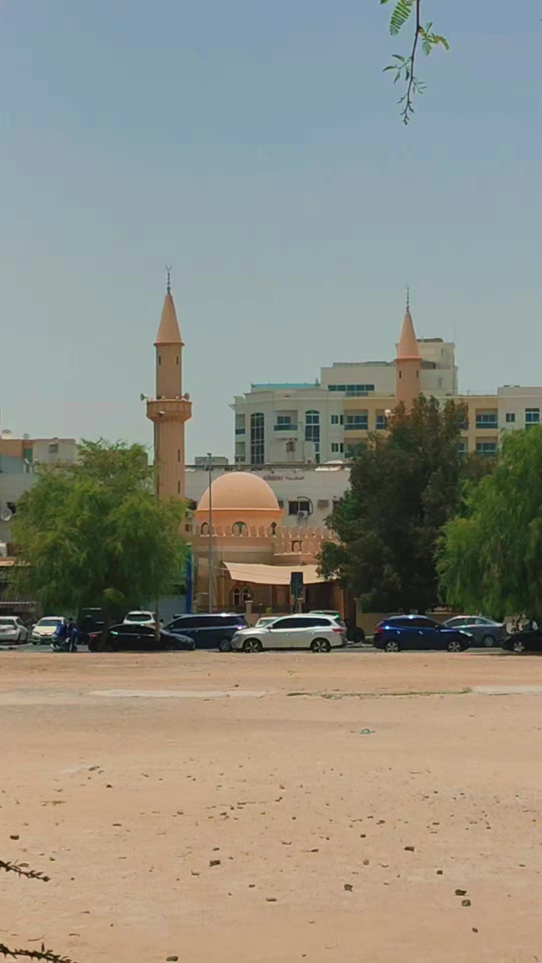 @فرحانة