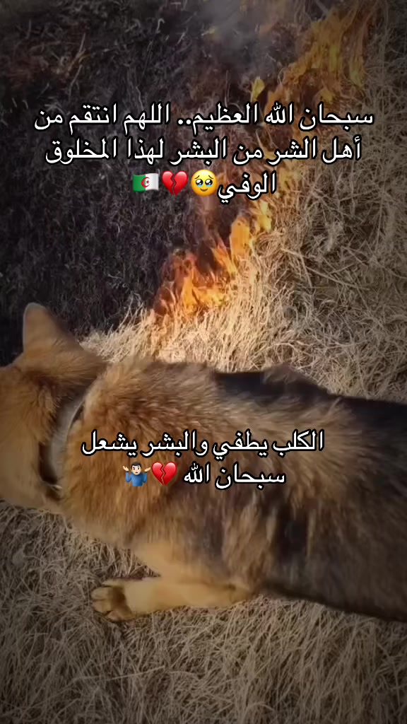 @_issam_19_🇩🇿🔱
