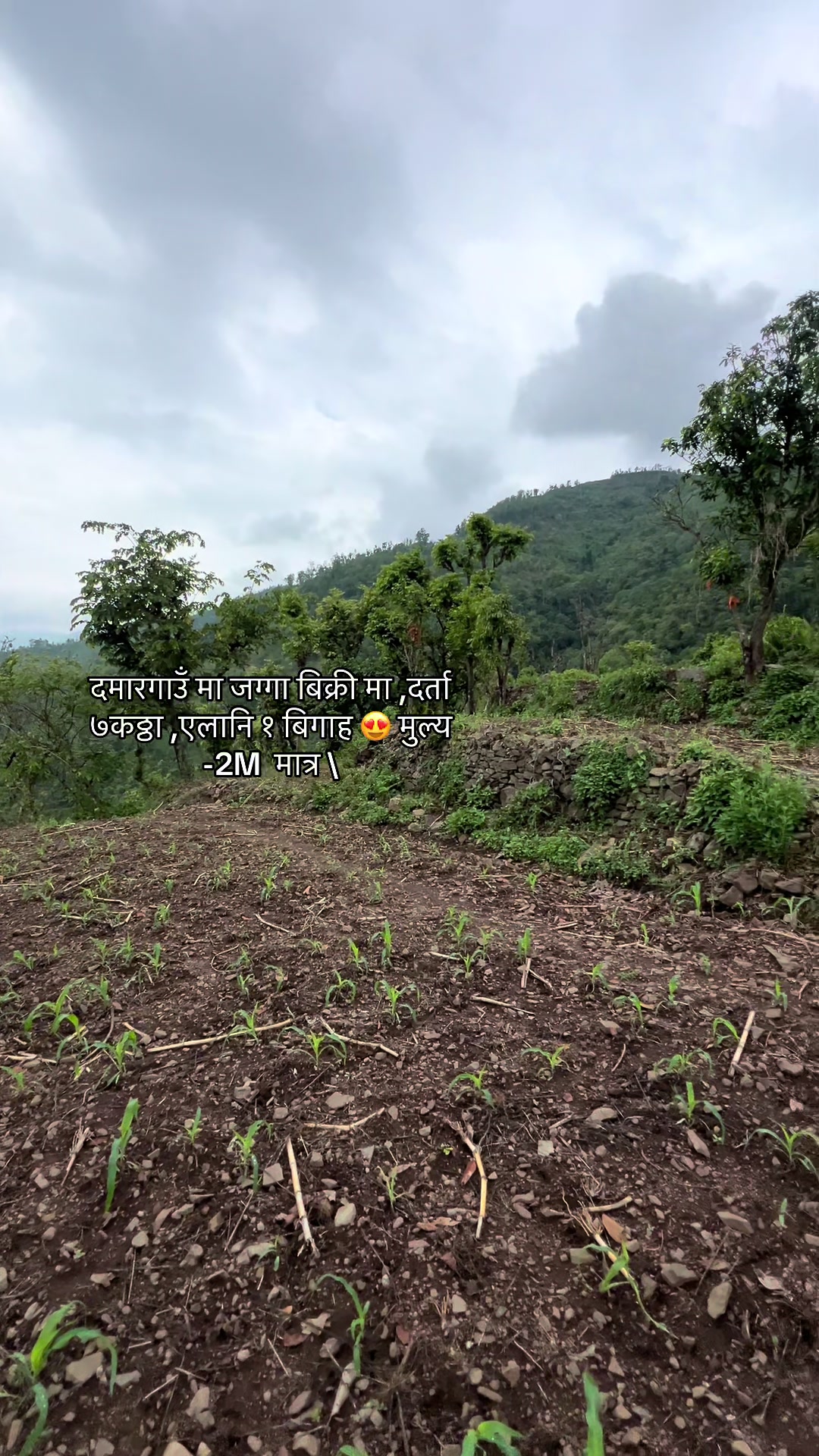 @Raju poudel141