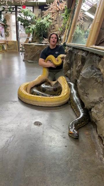 @The Reptile Zoo