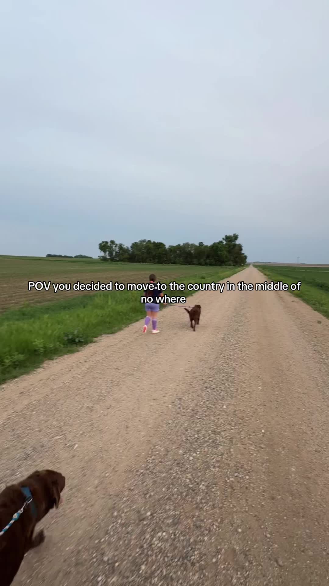 @Jill Peterson