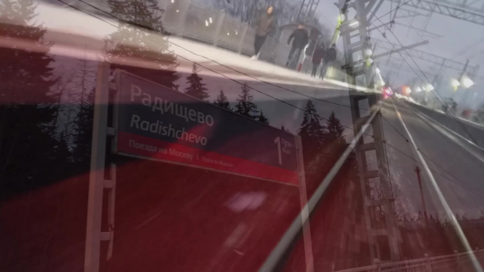 @vdogonky ♿