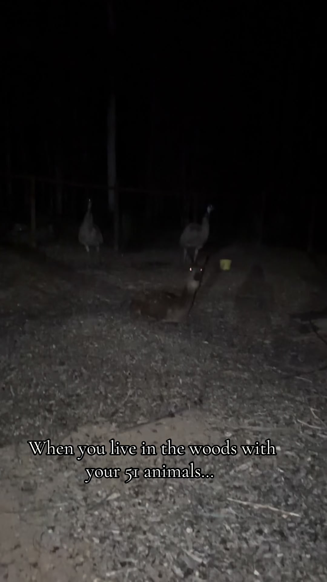 @Sophisticated Hillbilly