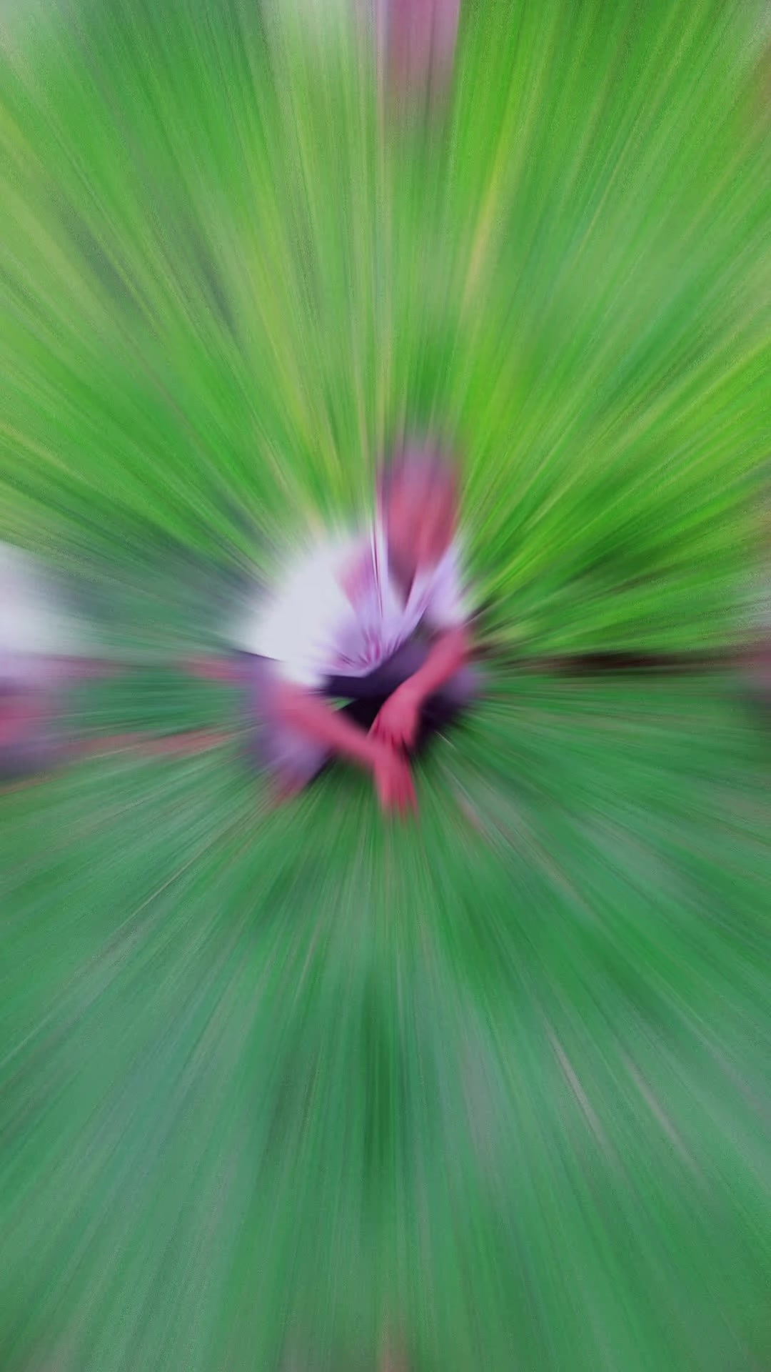 @wude