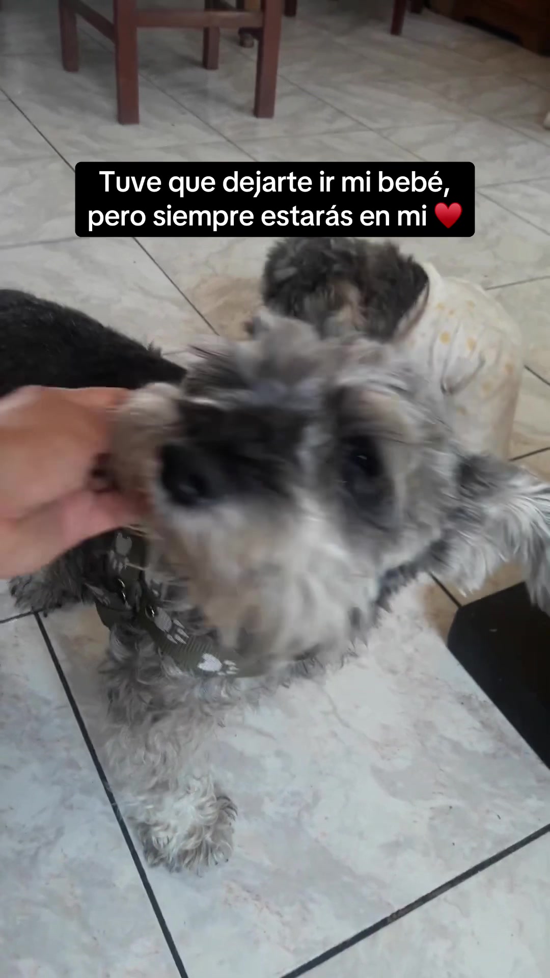 @Fabiola Torres