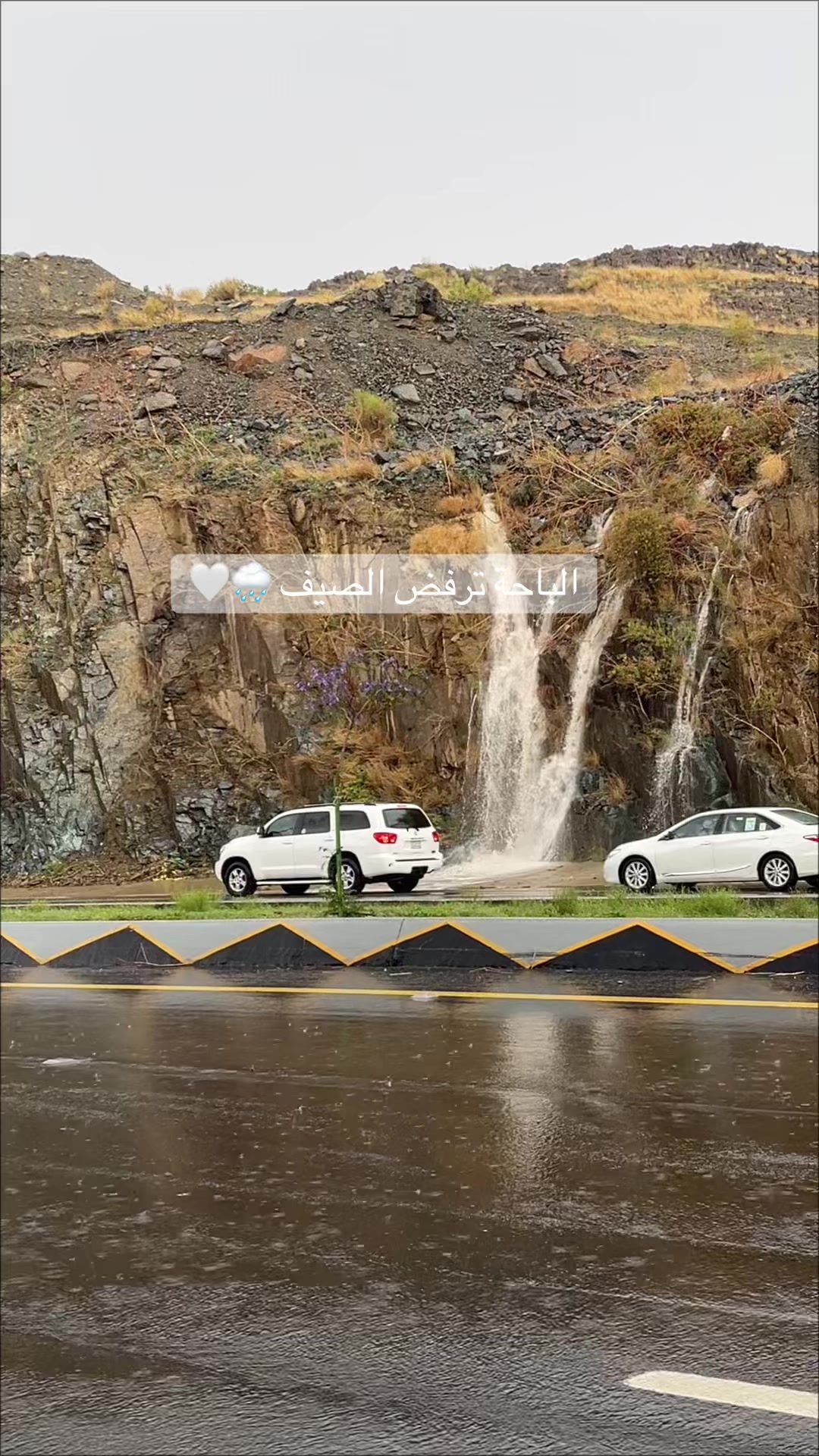 @اُمنيــه | ماما لـ فيصل ✧